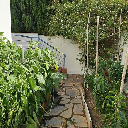 Casa Dona - * Benajarafe