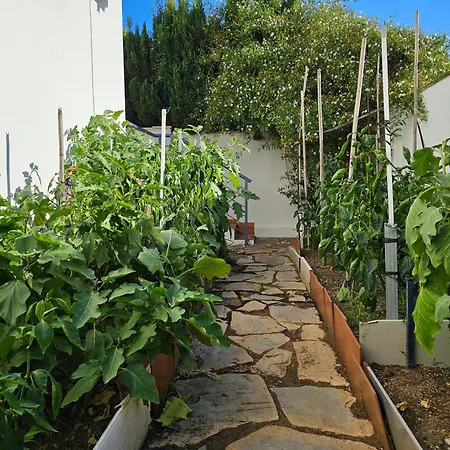 Casa Dona -